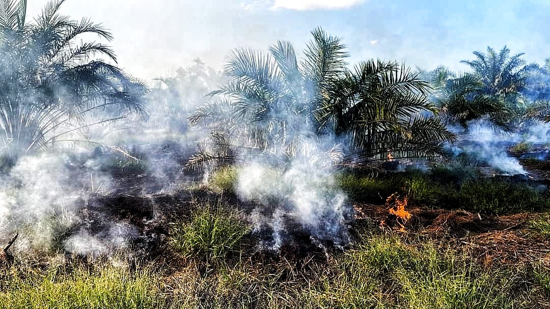 Kotawaringin Barat Bakal Alami Kemarau Panjang