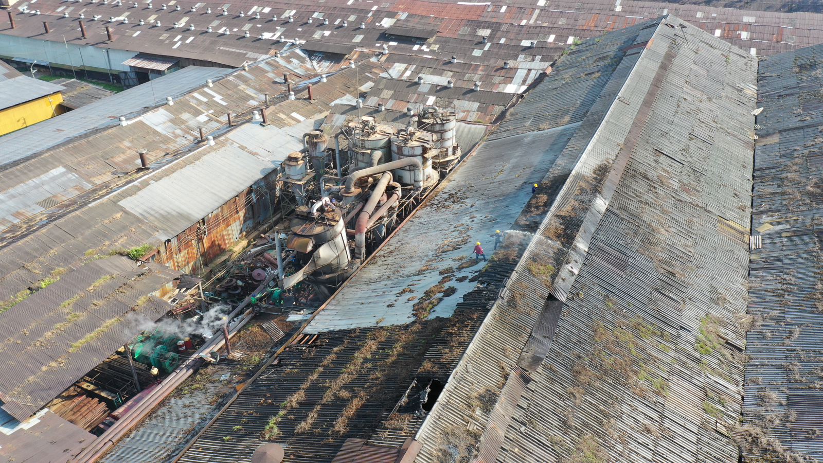 Pabrik Kayu Lapis PT Korindo Terbakar, 3 Orang Dilarikan ke Rumah Sakit