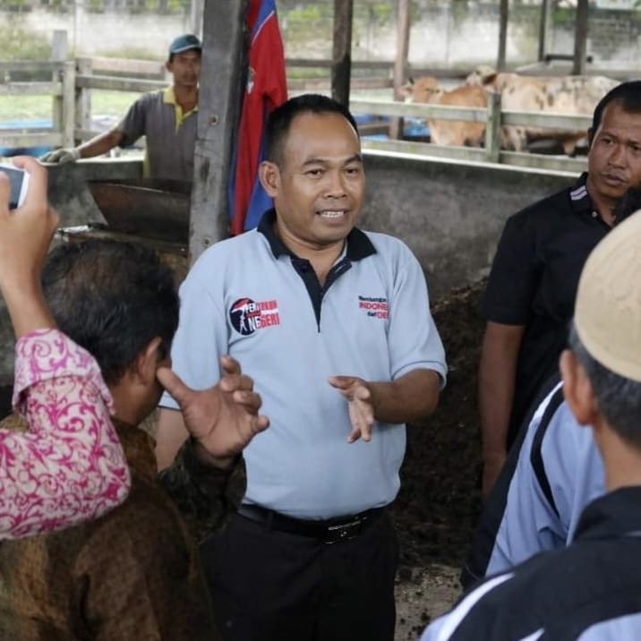 Kurangnya Sosialisasi Dinilai Jadi Penyebab Program Integrasi Sawit-Sapi Meredup