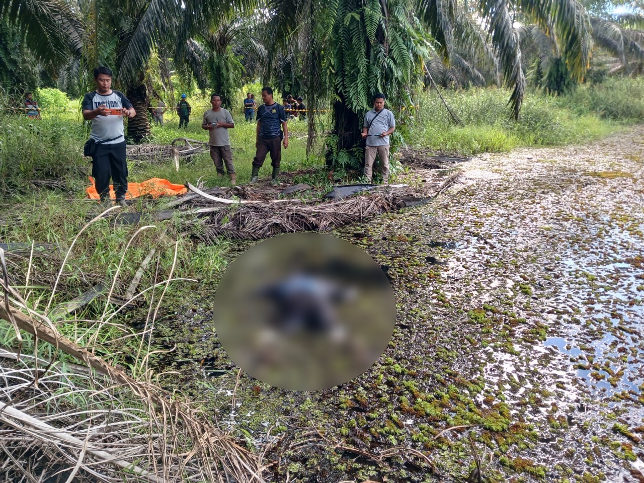 Sesosok Mayat Mr X Ditemukan di Rawa Area GSYM Arut Utara
