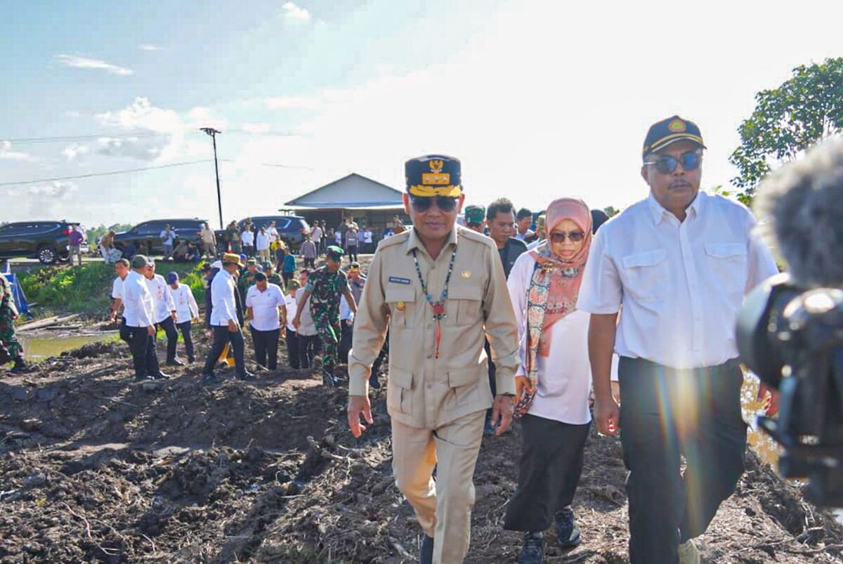 Tinjau Langsung ke Lapangan, Gubernur Kalteng Optimis Proyek Cetak Sawah Berhasil