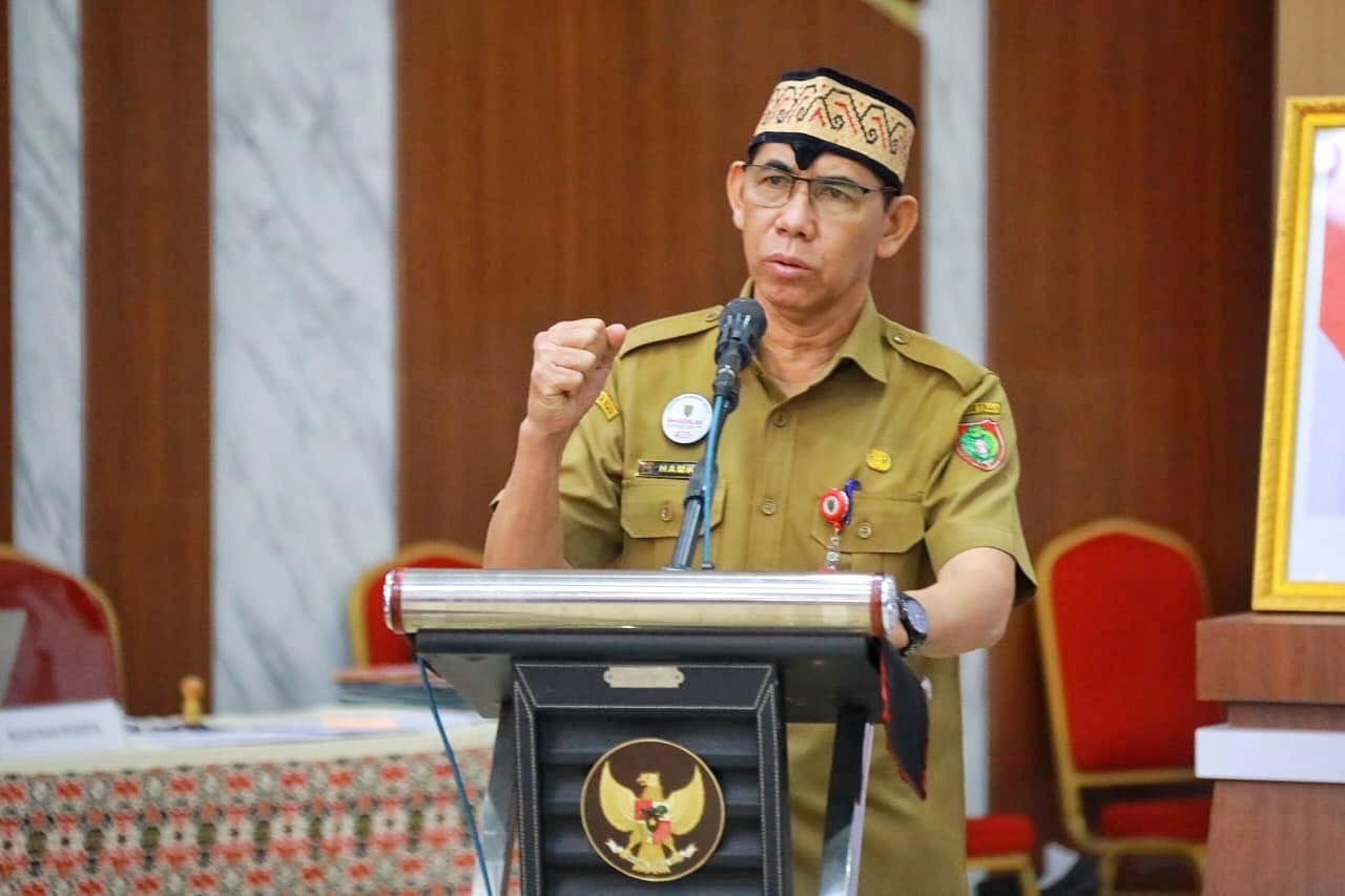 Melalui Dinas P3APPKB, Pemprov Kalteng Perkuat Komitmen Pengintegrasian Gender Lewat Workshop