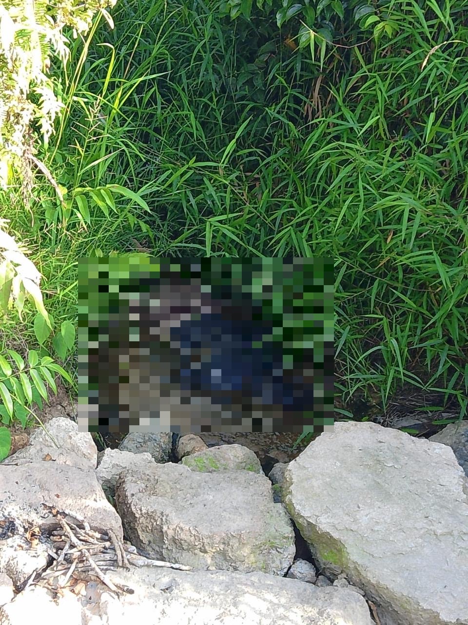 Sesosok Mayat Perempuan Tanpa Identitas Ditemukan di Jalan Maskaya Pengaruh Lamandau