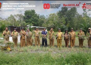 Dorong Produktivitas Petani, Dinas TPHP Provinsi Kalteng Dukung Panen Bawang Merah di Tangkiling