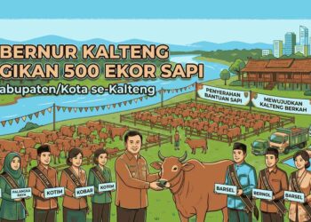 Pemprov Kalteng Salurkan 500 Sapi Kurban, Wujud Kepedulian Jelang Iduladha