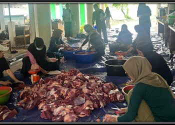 Majelis Taklim DPMPTSP Kalteng Salurkan Dua Ekor Sapi Kurban pada Idul Adha 1447 H