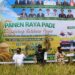 Pangdam XXII/Tambun Bungai Hadiri Peresmian Waterfront City dan Panen Raya Padi di Kapuas