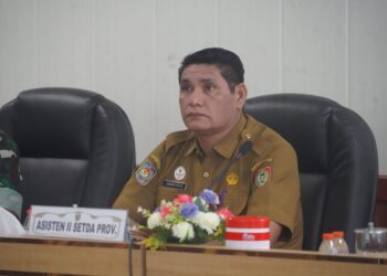 Pemprov Kalteng Perkuat Pengendalian Inflasi Lewat Rakor Nasional