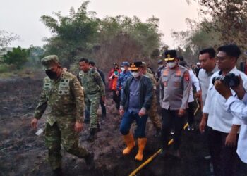 Gubernur Tinjau Karhutla Kobar, Minta Sinergi Diperkuat dan Siapkan Helikopter Water Bombing
