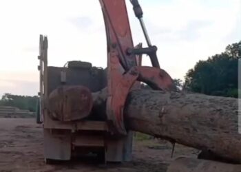 Diduga Angkut Kayu Ilegal, Truk di Desa Perigi Lamandau Jadi Sorotan, Bupati: “Kalau Catut Nama Saya, Tangkap Saja”