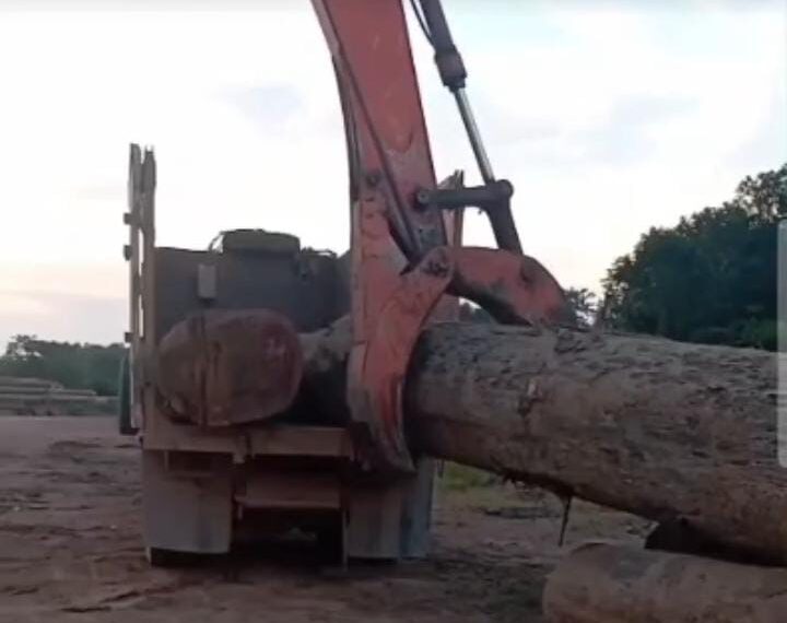 Diduga Angkut Kayu Ilegal, Truk di Desa Perigi Lamandau Jadi Sorotan, Bupati: “Kalau Catut Nama Saya, Tangkap Saja”