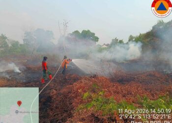 645 Hotspot Terdeteksi di Kalteng, Penanganan Karhutla Terus Diperkuat