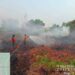 645 Hotspot Terdeteksi di Kalteng, Penanganan Karhutla Terus Diperkuat