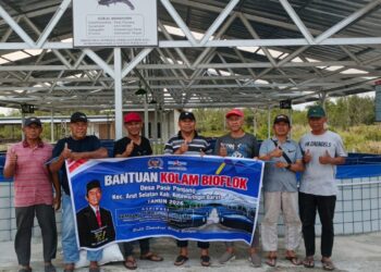 20 Ribu Benih Lele Ditebar, Bantuan Bioflok Aspirasi Bambang Purwanto Resmi Dimanfaatkan Pokdakan Al Manshurin