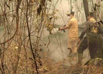 Tak Hanya Instruksi, Gubernur Agustiar Ikut Berjibaku Lawan Api Karhutla