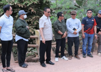 Respons Cepat, Bupati Masduki Tinjau Jembatan Semantun yang Ambles