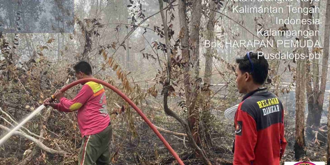 Kalteng Darurat Karhutla, 63 Kejadian Ditangani dalam 24 Jam