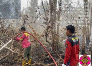 Kalteng Darurat Karhutla, 63 Kejadian Ditangani dalam 24 Jam