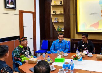 Wakil Bupati Nur Efendi Bahas Percepatan Penurunan Stunting Bersama Kemendukbangga/BKKBN