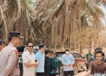 Bupati Sukamara Tinjau Jembatan Sekuningan Baru, Perbaikan Jadi Prioritas