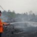 Bupati Sukamara Turun Langsung Pantau Pemadaman Karhutla, Beri Dukungan untuk Satgas