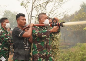 Kasdam XXII/TB Turun Langsung Penanganan Karhutla di KM 21 Palangka Raya