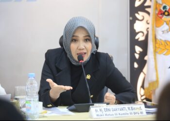 Erni Daryanti Dorong CKG Menjangkau Seluruh Desa di Kalteng, Soroti Nakes hingga Alkes