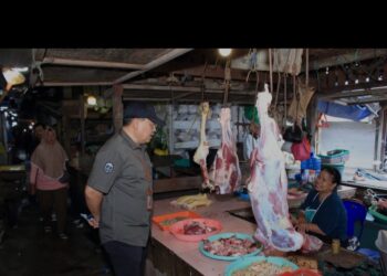 Jelang Ramadan, Satgas Pangan dan TPID Kalteng Sidak Pasar hingga LPG